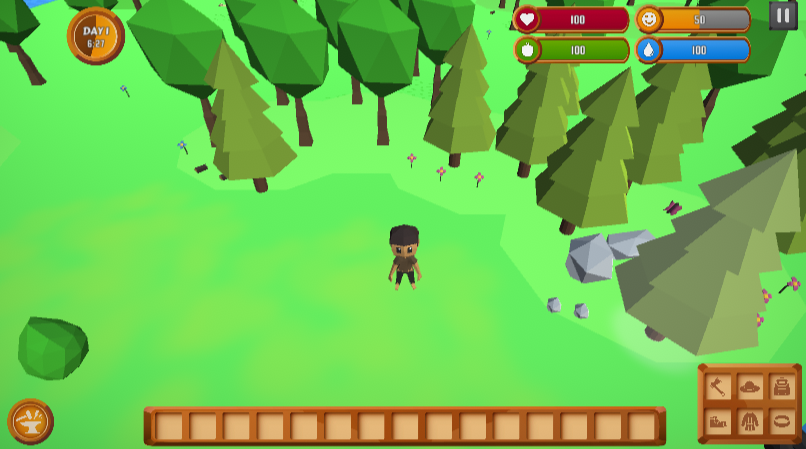 Cover image for SURVIVAL CRAFT