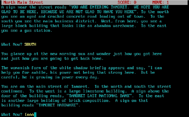 Cover image for Tamoret: The Adventure to the Fourth Dimension