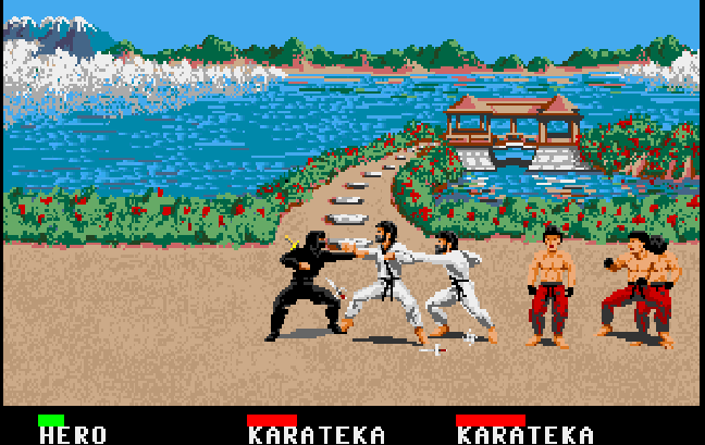 Cover image for Ninja Mission