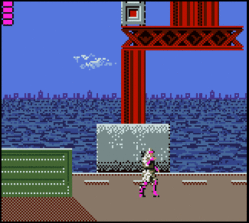 Cover image for The Shinobi