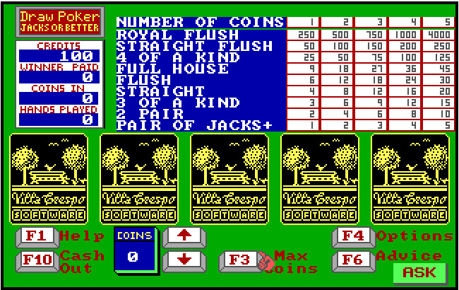 Cover image for Dr Wongs Jacks and Video Poker