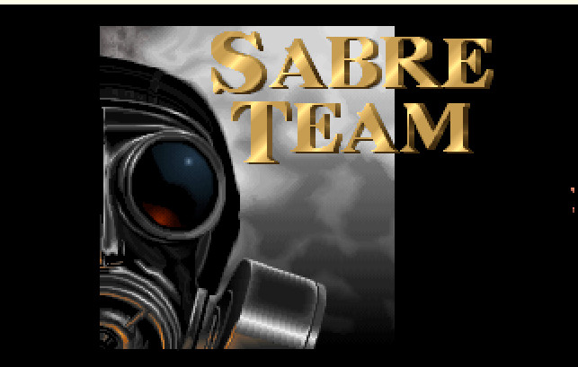 Cover image for Sabre Team