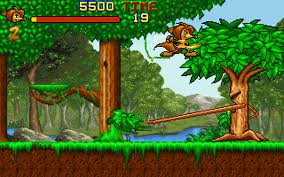 Cover image for Shakii the Wolf