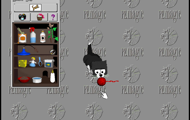 Cover image for Catz: Your Computer Petz