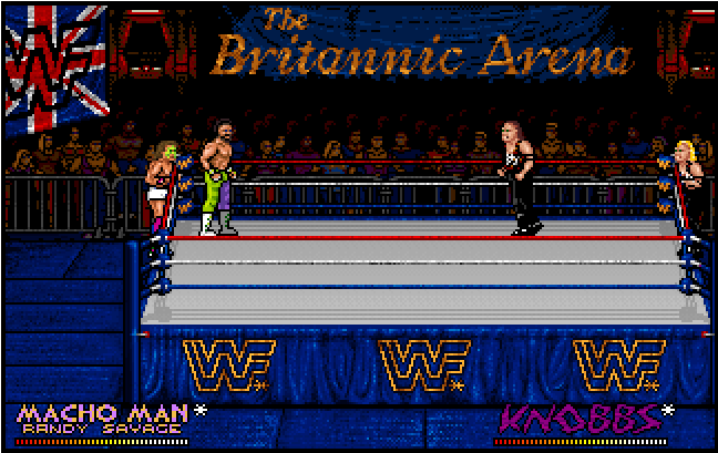 Cover image for WWF European Rampage Tour