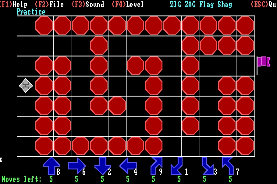 Cover image for Zig Zag Flag Shag